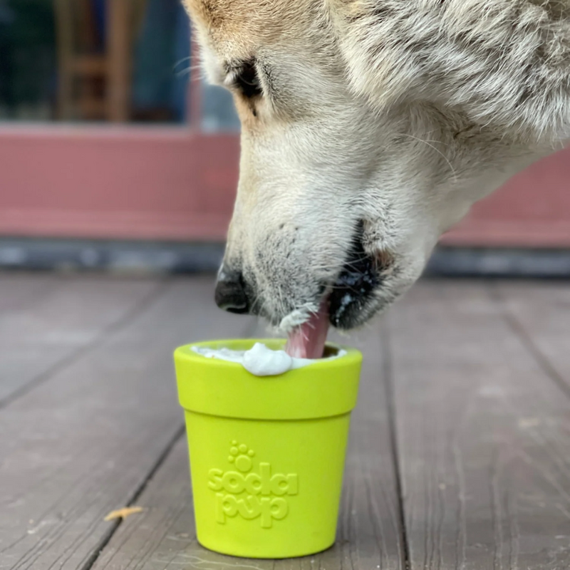 Brinquedo Mordedor Recheável Flower Pot Sodapup Para Cachorro