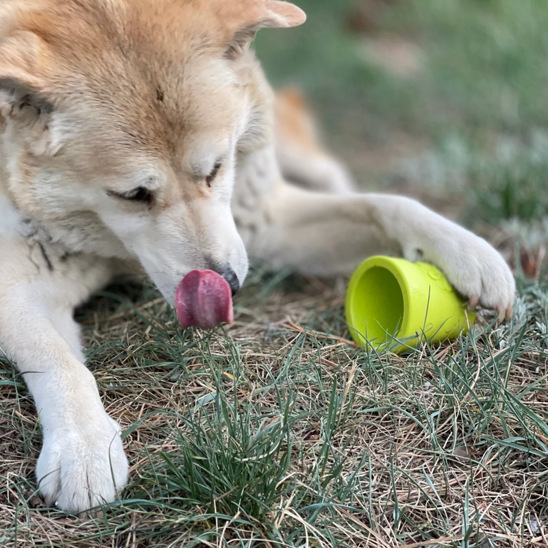 Brinquedo Mordedor Recheável Flower Pot Sodapup Para Cachorro