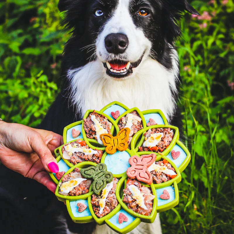 Comedouro Lento Mandala etray Sodapup para cachorro