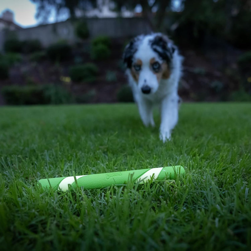 Chuckit! Ultra Fetch Stick Max Glow Bastão Brilha no Escuro