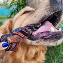 Natuka Dual – Mastigável Natural para Cachorro