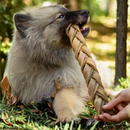 Trança Bovina Natuka – Couro Natural Trançado Sem Pelos Para Cachorro