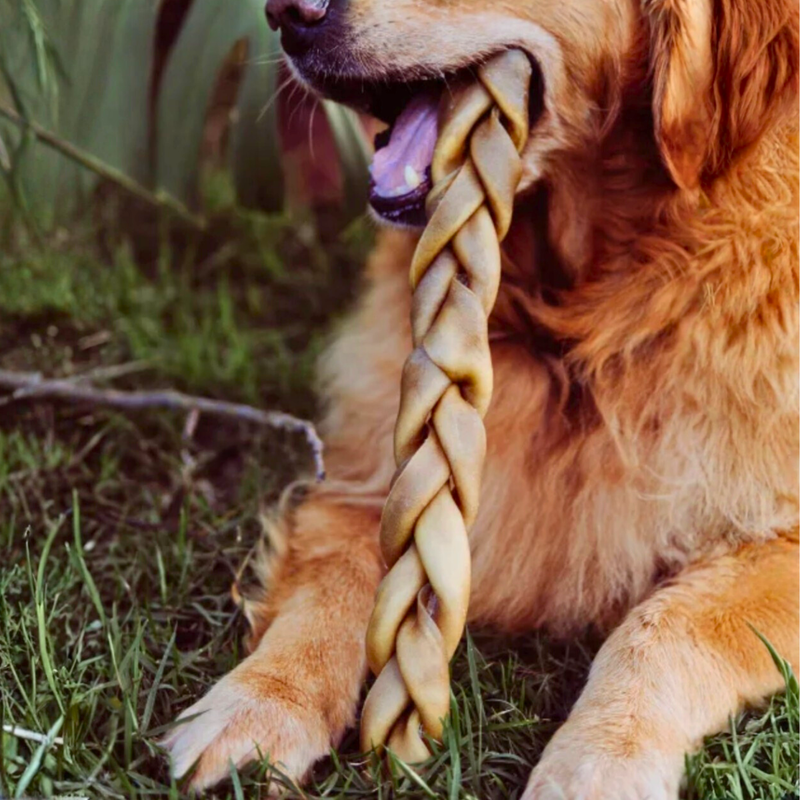 Trança Bovina Natuka – Couro Natural Trançado Sem Pelos Para Cachorro