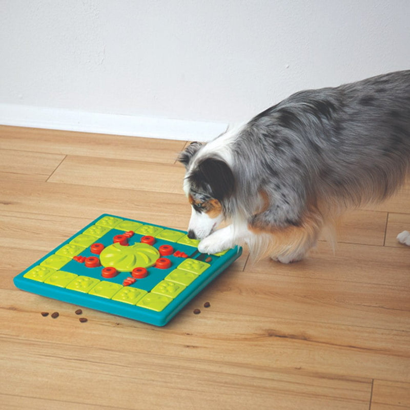 cachorro brincando com nina ottosson multipuzzle