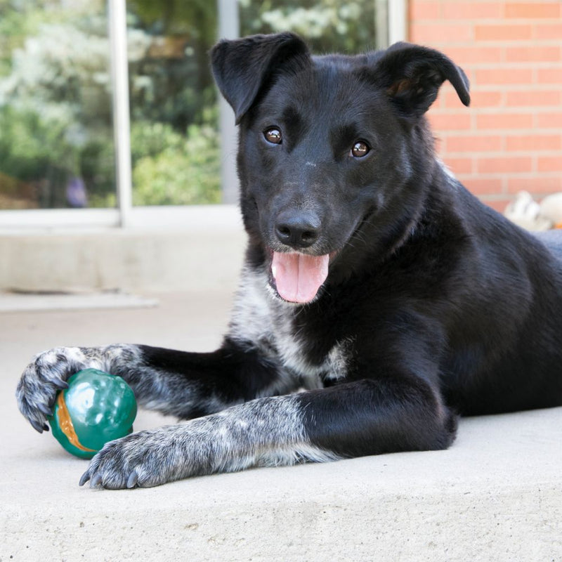 Bola para Cachorro Kong ChiChewy