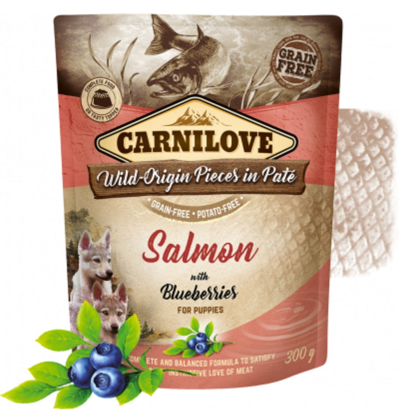 Alimentação Natural Salmão com Mirtilos Carnilove Patê para Filhotes