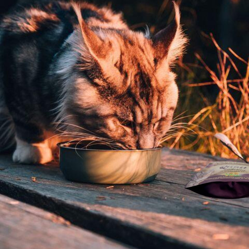 Sache Natural Carnilove Codorna e Dente-de-Leão para Gatos Castrados