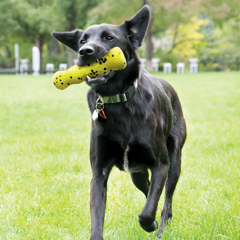 KONG Reflex Stick Bastão para cachorro