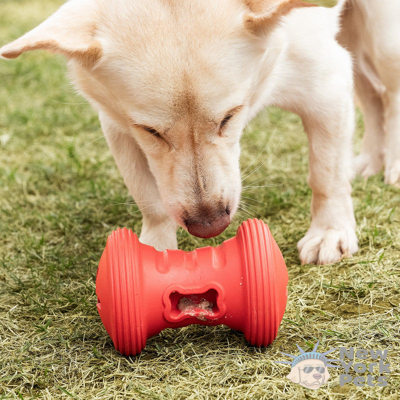 Brinquedo Recheável Roller Snax Germanhart Gira Snack para cachorro