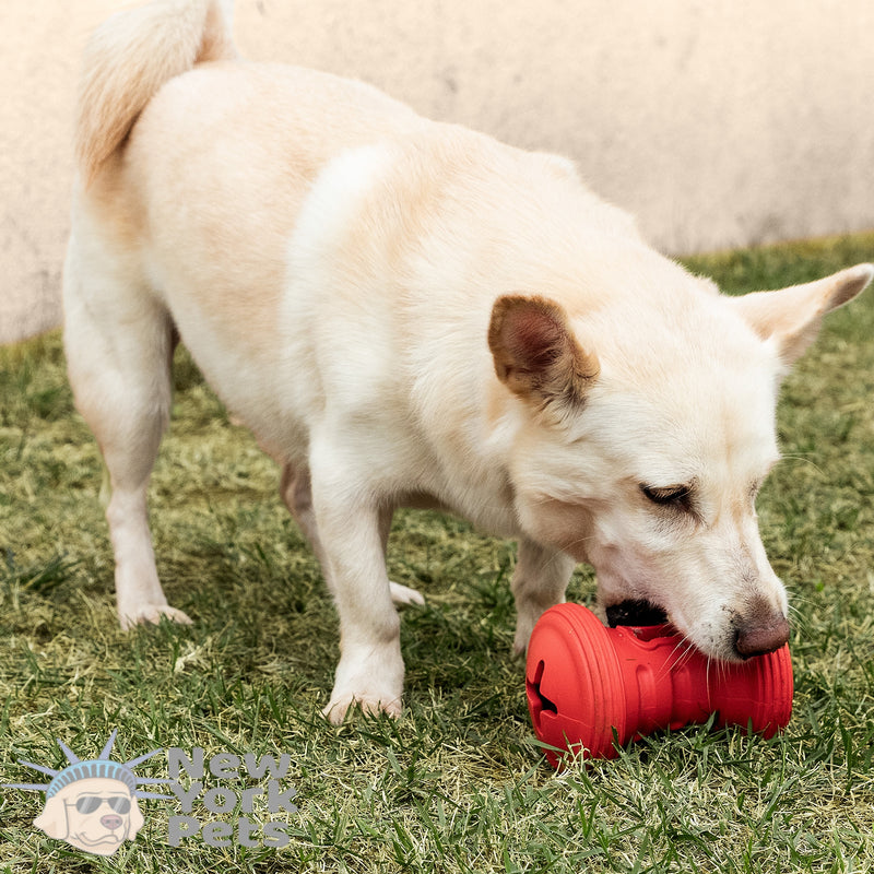 Brinquedo Recheável Roller Snax Germanhart Gira Snack para cachorro