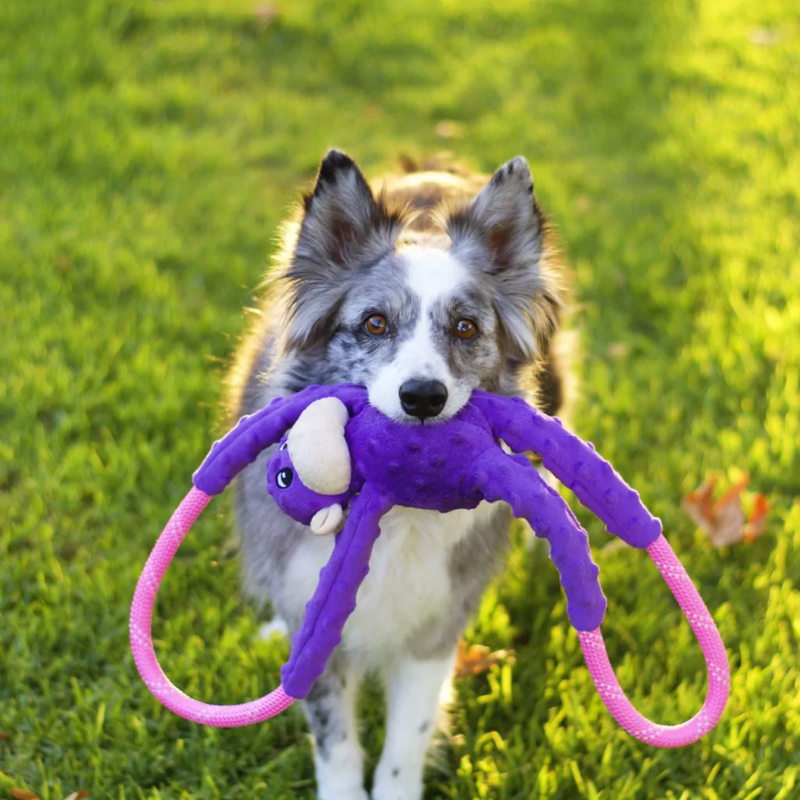 Cabo de Guerra de Pelucia modelo Macacos da Zippy Paws