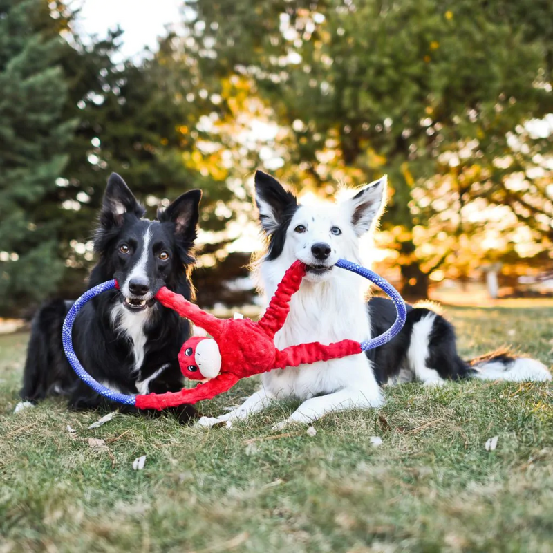 Cabo de Guerra de Pelucia modelo Macacos da Zippy Paws