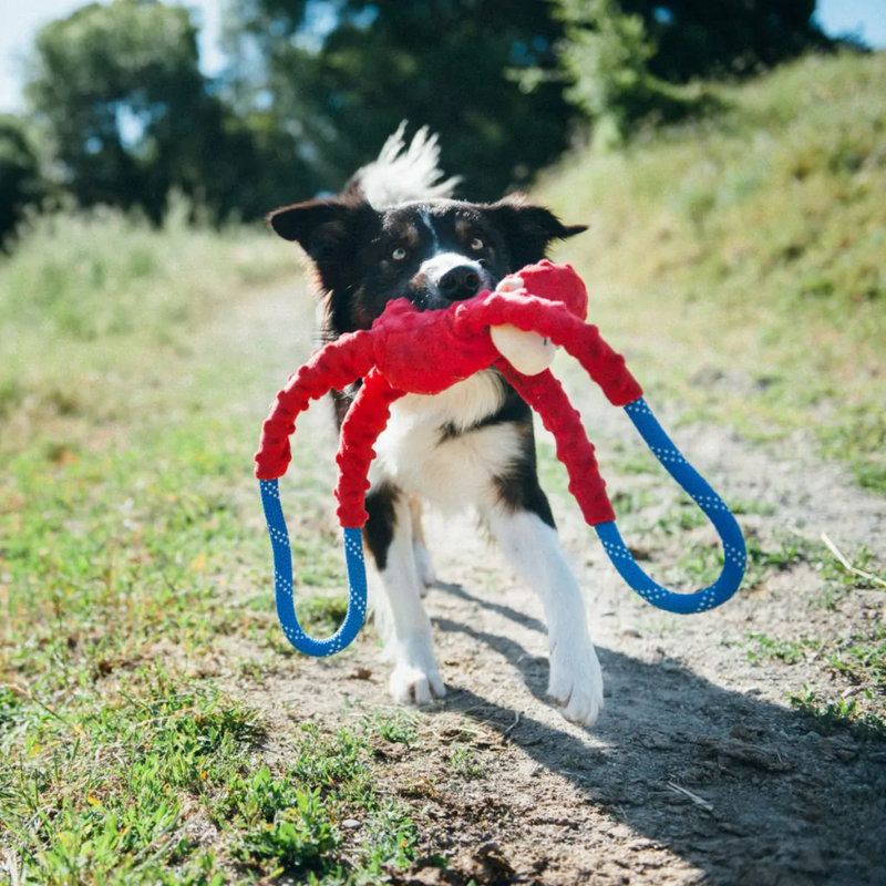 Cabo de Guerra de Pelucia modelo Macacos da Zippy Paws