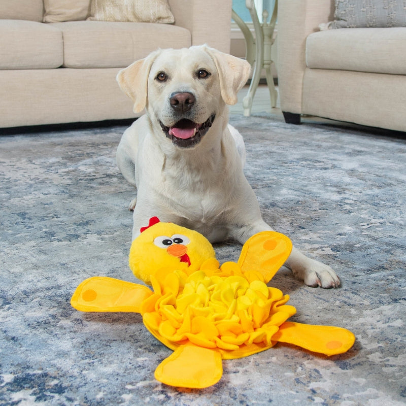 Snuffle Palz Galinha – Pelucia de Fuçar para Cachorro