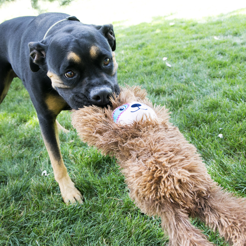 Kong Tuggz Sloth Pelucia Extra Grande com Corda para cachorro