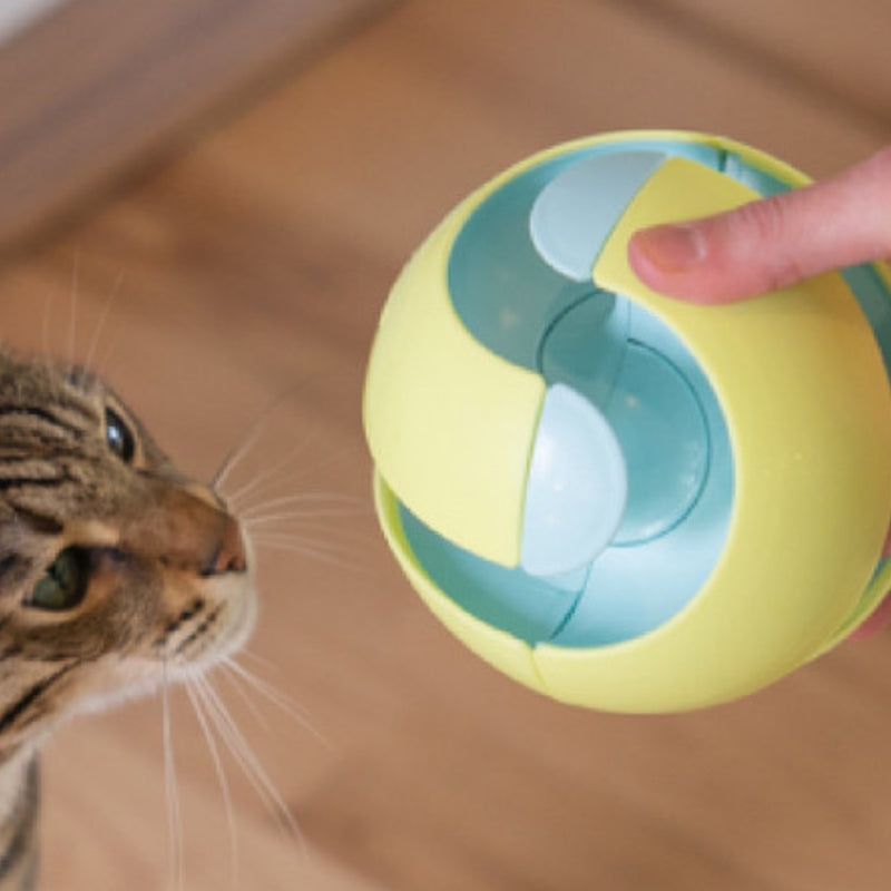 Twist-A-Ball Track – Brinquedo Interativo para Gatos