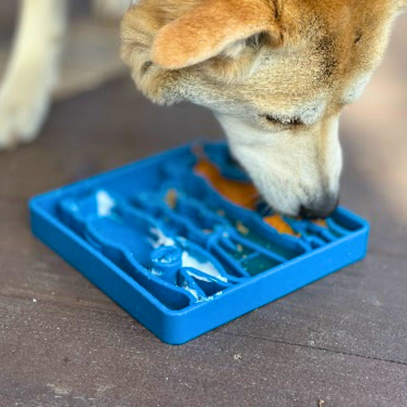 Comedouro Lento Waiting Dogs etray Sodapup Para Cachorro