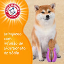 Arm & Hammer Dental - Mordedor Formato Alicate Para Cachorro - New York Pets