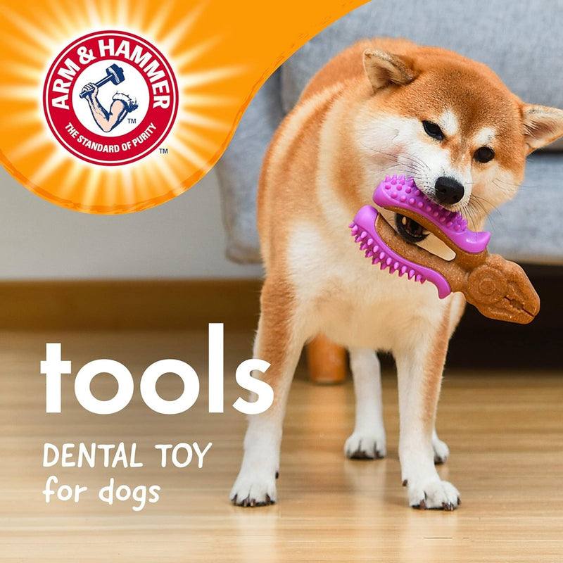 Arm & Hammer Dental - Mordedor Formato Alicate Para Cachorro - New York Pets