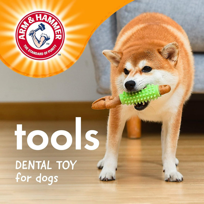 Arm & Hammer Dental - Mordedor Formato Chave Inglesa Para Cachorro - New York Pets