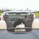 Barreira Protetora de Banco para Carro Kong Travel - New York Pets