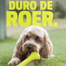 Benebone Bounce Bone – Mordedor de Borracha Natural para Cachorro - New York Pets