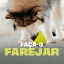 Benebone Bounce Cone – Dispensador Inteligente com Tratamento Interno - New York Pets