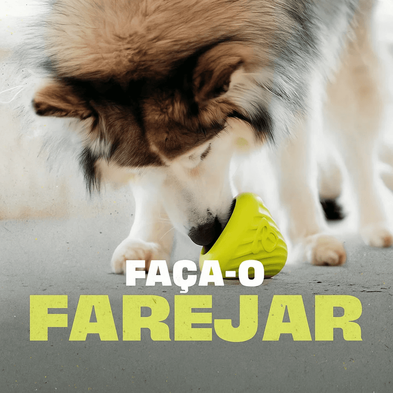 Benebone Bounce Cone – Dispensador Inteligente com Tratamento Interno - New York Pets