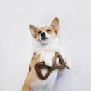 Benebone Dental Chew Menta - New York Pets