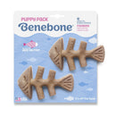 Benebone Fishbone Puppy 2 - pack para Filhote - New York Pets