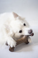 Benebone Maplesticks - New York Pets