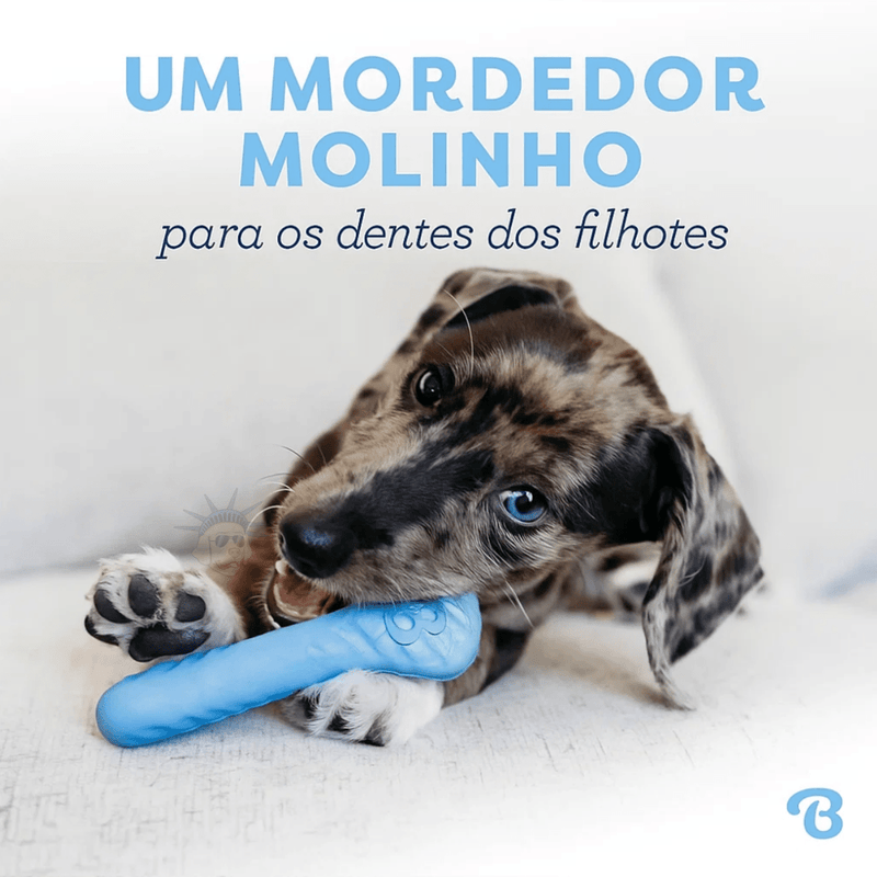 Benebone Puppy 2 - Pack Rubber – Osso de Borracha e Wishbone com Sabor Bacon - New York Pets