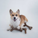 Benebone Stick Bacon - New York Pets