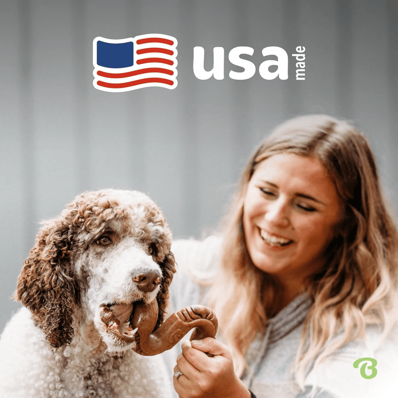 Benebone Tripe Bone – Nylon Sabor Tripa de Carne Bovina - New York Pets