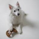 Benebone Wishbone Frango - New York Pets