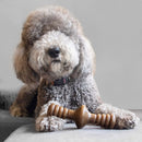 Benebone Zaggler Bacon Mordedor para Cachorro - New York Pets