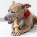 Benebone Zaggler Bacon Mordedor para Cachorro - New York Pets