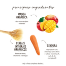 Biscoito Organico para Cachorro - Manga e Cenoura - All Love - New York Pets