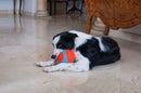 Bola Chuckit! Indoor Fumbler Para Cachorro - New York Pets