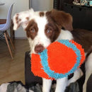 Bola Chuckit! Indoor Fumbler Para Cachorro - New York Pets