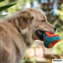 Bola Chuckit! Indoor Tumbler Para Cachorro - New York Pets