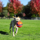 Bola Chuckit! Kick Fetch Grande Para Cachorro - New York Pets