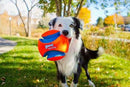 Bola Chuckit! Kick Fetch Grande Para Cachorro - New York Pets
