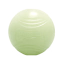 Bola Chuckit Max Glow Brilha no Escuro - New York Pets