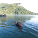 Bola Chuckit Ultra Ball Medio - 2 unidades - New York Pets