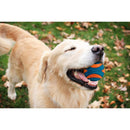Bola Chuckit Ultra Squeaker Com Apito - 2 Unidades - Medio - New York Pets