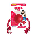 Bola com corda para Cães Kong W/Rope - Pequeno - New York Pets