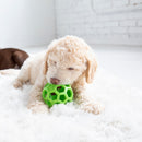 Bola interativa para cachorro JW Holee Roller - New York Pets