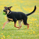 Bola JW Holee Cuz Médio para Cachorro - New York Pets