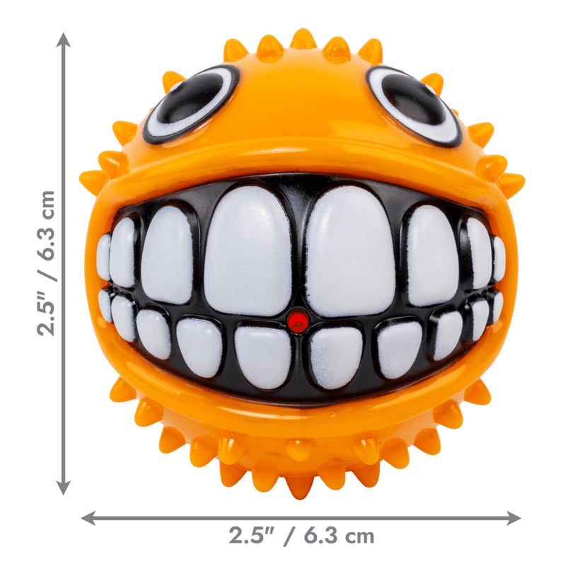 Bola KONG Grinz Peixinho – Bolinha Divertida com Efeito Sorriso para Cães - New York Pets